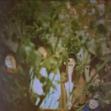 Pine Barons Share 'Little Spain'