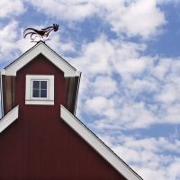 Westport Country Playhouse Offers Free-of-Charge Events Exploring Comedy STRAIGHT WHI