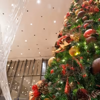 Houston Symphony Announces 2019 Holiday Concerts