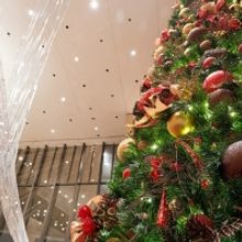 Houston Symphony Announces 2019 Holiday Concerts