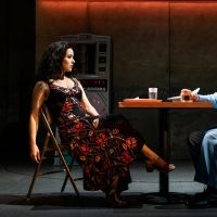 BWW Review: THE BAND'S VISIT National Tour Comes to Chicago Photo