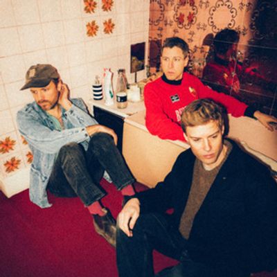 Palace to Release Fifth Studio Album 'Ox'
