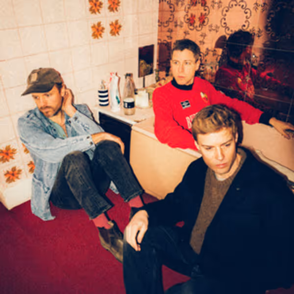 Palace to Release Fifth Studio Album 'Ox' Photo