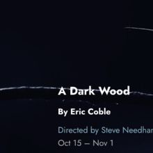 A DARK WOOD Tickets to Go On Sale for Tin Drum Theatre's Chicago Premiere