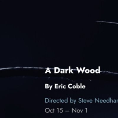 A DARK WOOD Tickets to Go On Sale for Tin Drum Theatre's Chicago Premiere