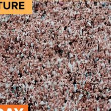 Pitbull Sets Guinness World Record for Largest Gathering of People in Bald Caps