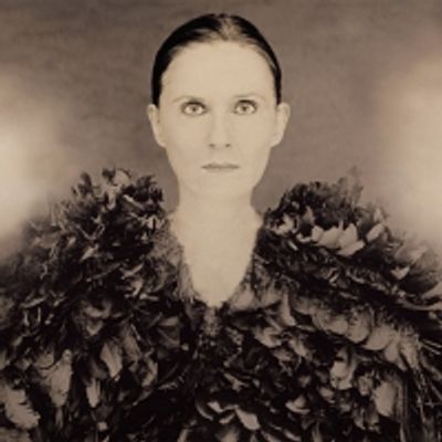 Review: UNVEILED: JOYCE TENNESON AND THE HEROINE'S JOURNEY at Sedona International Film Festival