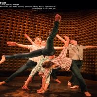 The Dance Complex In Cambridge To Host DANCE NOW Boston in February