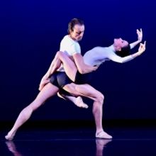 D.C.'s Chamber Dance Project Continues Free Zoom Series With Luz San Miguel and Davit