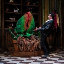 Review: LITTLE SHOP OF HORRORS at PCPA: Solvang Festival Theater