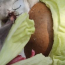 El Macg Festejará El Día Internacional De Los Museos Con Una Convivencia Alimentari