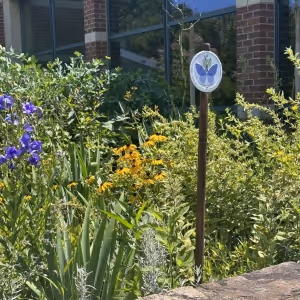 Connecticut Historic Garden Day 2024 To Take Place in June
