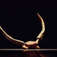 Nederlands Dans Theater Comes to Sadler's Wells in April