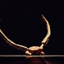 Nederlands Dans Theater Comes to Sadler's Wells in April