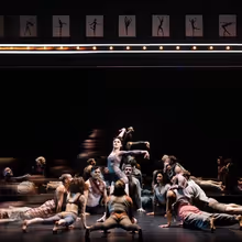 Review: A Thrilling BLACK SWAN at American Repertory Theater