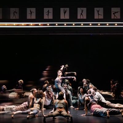 Review: A Thrilling BLACK SWAN at American Repertory Theater