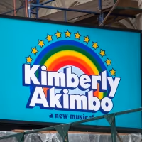 Video: On the Opening Night Red Carpet for KIMBERLY AKIMBO