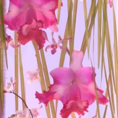 Photo Flash: Miami Design District Unveils Larger than Life Installation by Cristina Lei Rodriguez
