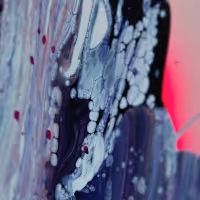 Goose Share New Song 'Arrow' Ahead of New Album
