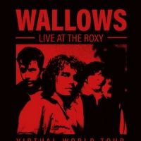 Wallows Embark On A Virtual World Tour
