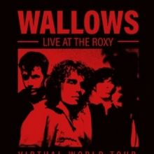 Wallows Embark On A Virtual World Tour