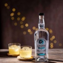 Celebrate NATIONAL MARGARITA DAY 2/22 with Destinations, Drinks, and Recipes