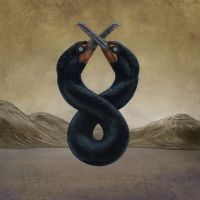 San Fermin Announces the Second Chapter of 'The Cormorant' Project