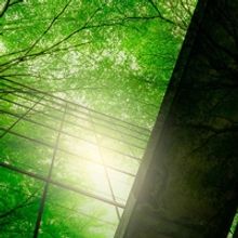 Bloomsbury Festival 2022 Announces Full Programme