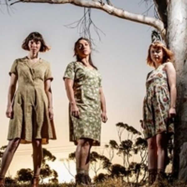 BWW Review: THE BLEEDING TREE at Ngunyawayiti Space, Tandanya National Aboriginal Cul Photo