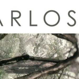 PRIVATE EARTH An Eclectic, Worldly, And Ethereal New Age Album From Carlos Dengler…