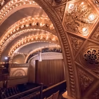 Auditorium Theatre Board Of Directors Appoints New Members
