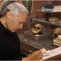 Donna Cline to Receive Lifetime Achievement Award at ADG Awards 2022