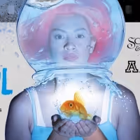 Stage and Screen Meld In FROM THE FISHBOWL From TFTV and Scoundrel & Scamp Theatre