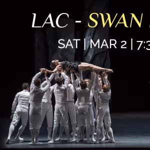Les Ballets De Monte Carlo To Return To New Orleans With A LAC – SWAN LAKE, A…