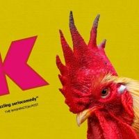 BWW Review: Studio Theatre's COCK is a Raw, Raunchy Rant on Choice, Need and Identity