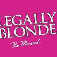 Cast Set for LEGALLY BLONDE at Naperville's Summer Place Theatre