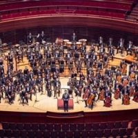 PYO Music Institute Resumes In-Person Auditions In September Interview