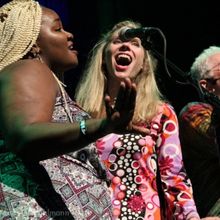 Raue Center Celebrates THE WOODSTOCK ERA at Live Concert Event