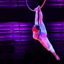 Sailor Circus Academy Presents AROUND THE WORLD IN 80 DAYS