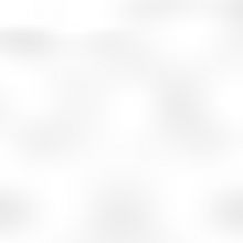 The Cockpit Announces Reopening Plans For Christmas