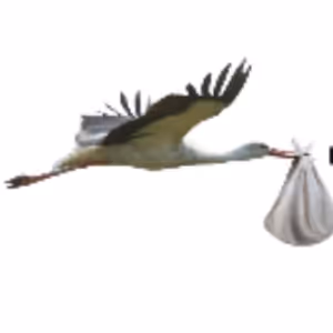 New Musical THE STORK DERBY To Have Developmental Readings At Amas Musical Theatre &…