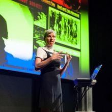 CRCI to Celebrate 10th Anniversary With CRCI 2025: Moondance