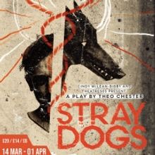 Full Cast Announced For Theo Chester's STRAY DOGS At Theatre503