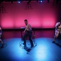 The Anthropologists' NO PANTS IN TUCSON Available For Limited Time On Demand