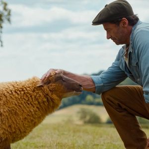 THE SHEEP DETECTIVES Sets Streaming Release on Prime Video