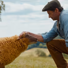 THE SHEEP DETECTIVES Sets Streaming Release on Prime Video