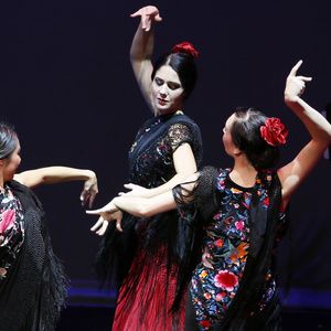 Flamenco Rosario to Perform in The Dance Centre’s DISCOVER DANCE! Series in Vancouv Interview