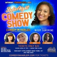 Comic Nicky Sunshine Hosts Ladies Night Showcase at Comedy In Harlem