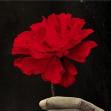 Kim Moore's HADESTOWN Lawsuit Partially Dismissed on First Amendment Grounds