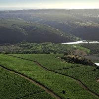 VINA LEYDA Chilean Wines-The “Coastal Vineyards” Sauvignon Blanc Wines are Delightful